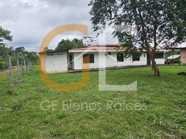 #GE-VL23 - Departamento para Venta en Guacimo - L - 2