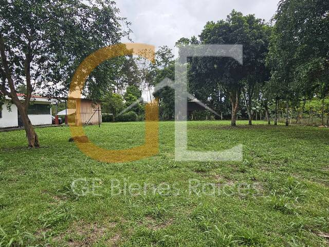 #GE-VL23 - Departamento para Venta en Guacimo - L - 3